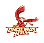 Chestnut Hill College