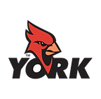 York College, City University of New York
