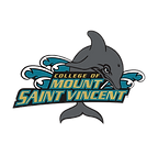 College of Mount St. Vincent